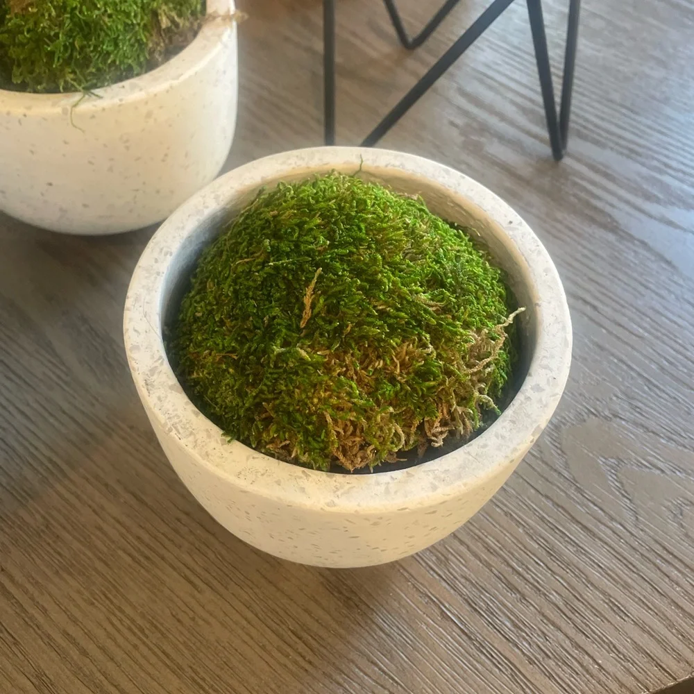 West Elm Iris Planters with Stand-New